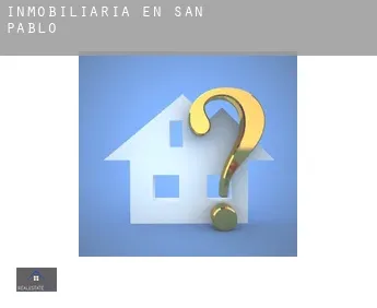 Inmobiliaria en  San Pablo