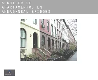 Alquiler de apartamentos en  Annaghneal Bridges