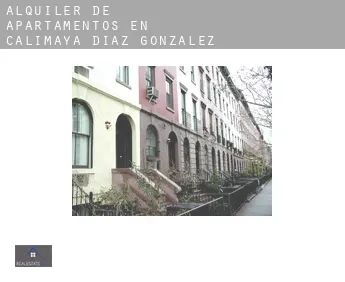 Alquiler de apartamentos en  Calimaya de Díaz González