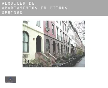 Alquiler de apartamentos en  Citrus Springs