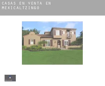 Casas en venta en  Mexicaltzingo