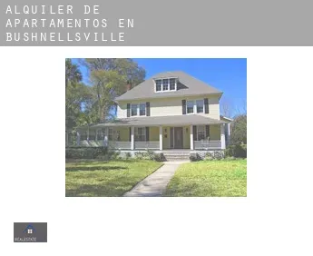 Alquiler de apartamentos en  Bushnellsville