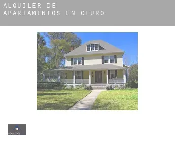 Alquiler de apartamentos en  Cluro