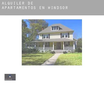 Alquiler de apartamentos en  Windsor