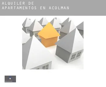 Alquiler de apartamentos en  Acolman