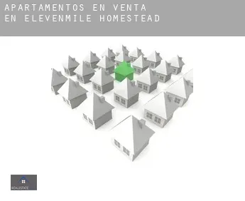 Apartamentos en venta en  Elevenmile Homestead