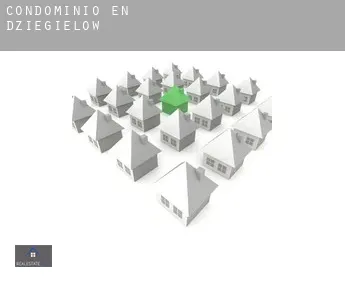 Condominio en  Dzięgielów