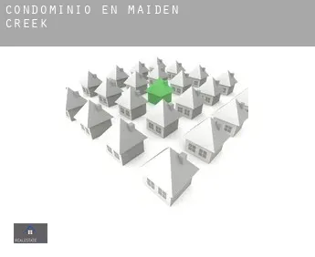 Condominio en  Maiden Creek