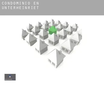Condominio en  Unterheinriet