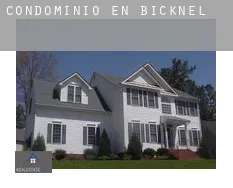 Condominio en  Bicknell