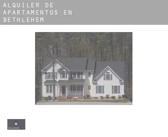 Alquiler de apartamentos en  Bethlehem