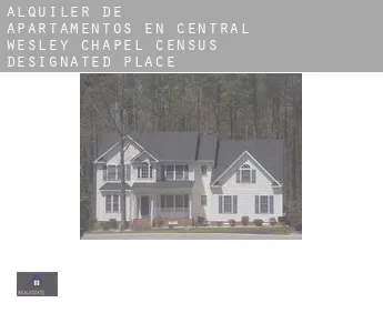 Alquiler de apartamentos en  Central Wesley Chapel