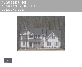 Alquiler de apartamentos en  Colesville