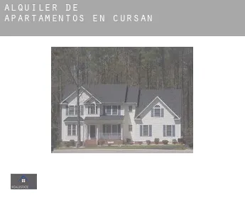 Alquiler de apartamentos en  Cursan