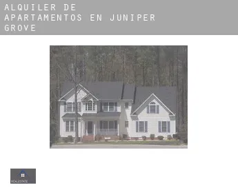 Alquiler de apartamentos en  Juniper Grove