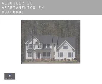 Alquiler de apartamentos en  Roxförde