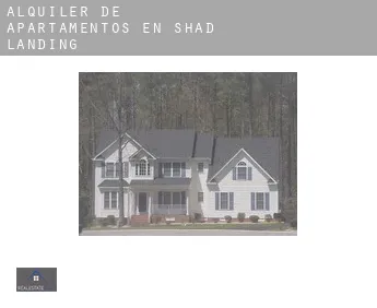 Alquiler de apartamentos en  Shad Landing
