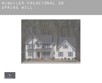 Alquiler vacacional en  Spring Hill