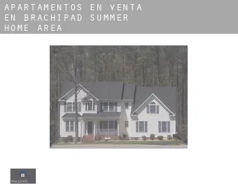 Apartamentos en venta en  Brachipad Summer Home Area