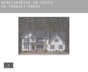 Apartamentos en venta en  Trunkey Creek