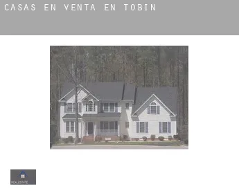 Casas en venta en  Tobin