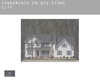 Condominio en  Big Stone City