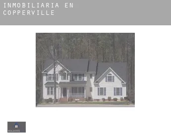 Inmobiliaria en  Copperville