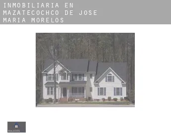 Inmobiliaria en  Mazatecochco de José María Morelos