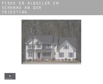 Pisos en alquiler en  Schönau an der Triesting