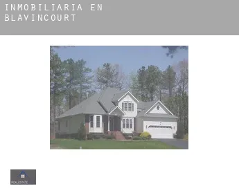 Inmobiliaria en  Blavincourt