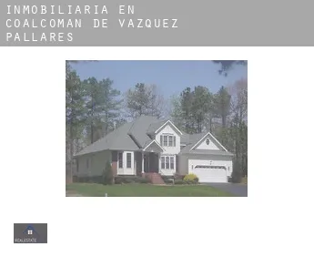 Inmobiliaria en  Coalcomán de Vázquez Pallares