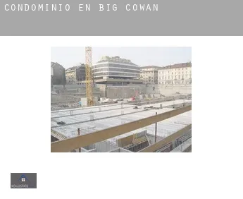 Condominio en  Big Cowan