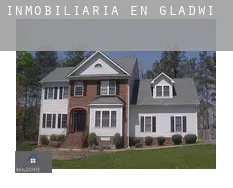 Inmobiliaria en  Gladwin