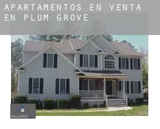 Apartamentos en venta en  Plum Grove