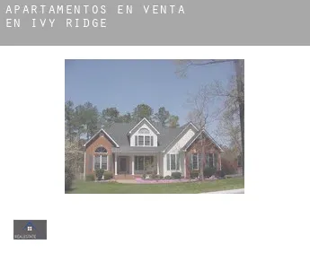 Apartamentos en venta en  Ivy Ridge
