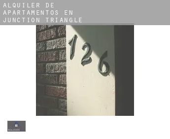 Alquiler de apartamentos en  Junction Triangle
