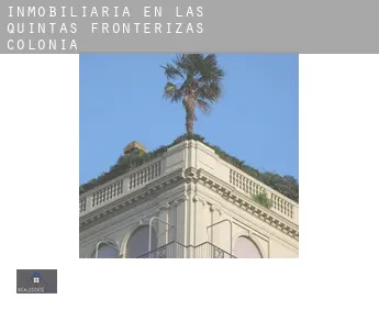 Inmobiliaria en  Las Quintas Fronterizas Colonia